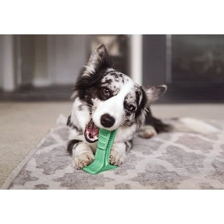 Bristly Brushing Stick Dog Toothbrush - Best Dog Chew Toy and Dental Chew (Best Pitbull Dog Toys)