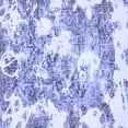 thumbnail image 1 of Ahgly Company Indoor Square Abstract Blue Modern Area Rugs, 6' Square, 1 of 4