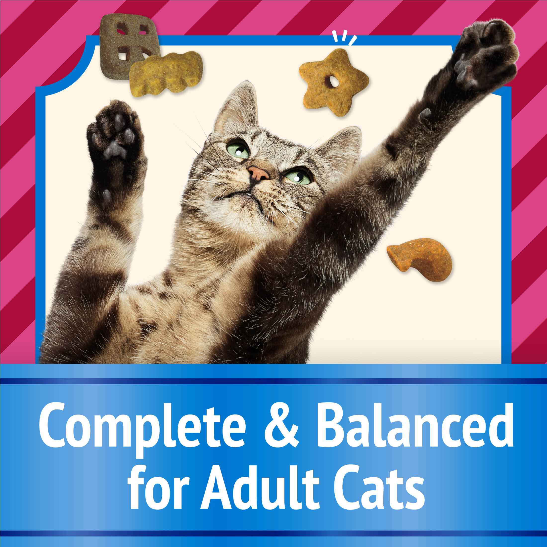 Friskies Party Mix Beachside Crunch Cat Treats photo 7