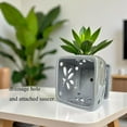 thumbnail image 4 of Orchid Pots with Holes Square Ceramic Orchid Planter Pots 5.5 inch (Gray), 4 of 9