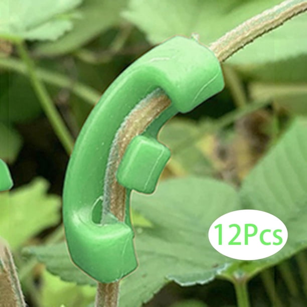 10pcs Entrenador de plantas Clips Clips de flexión Reutilizable Práctico Fácil de instalar Planta Verde Cola Abrazaderas de flexión