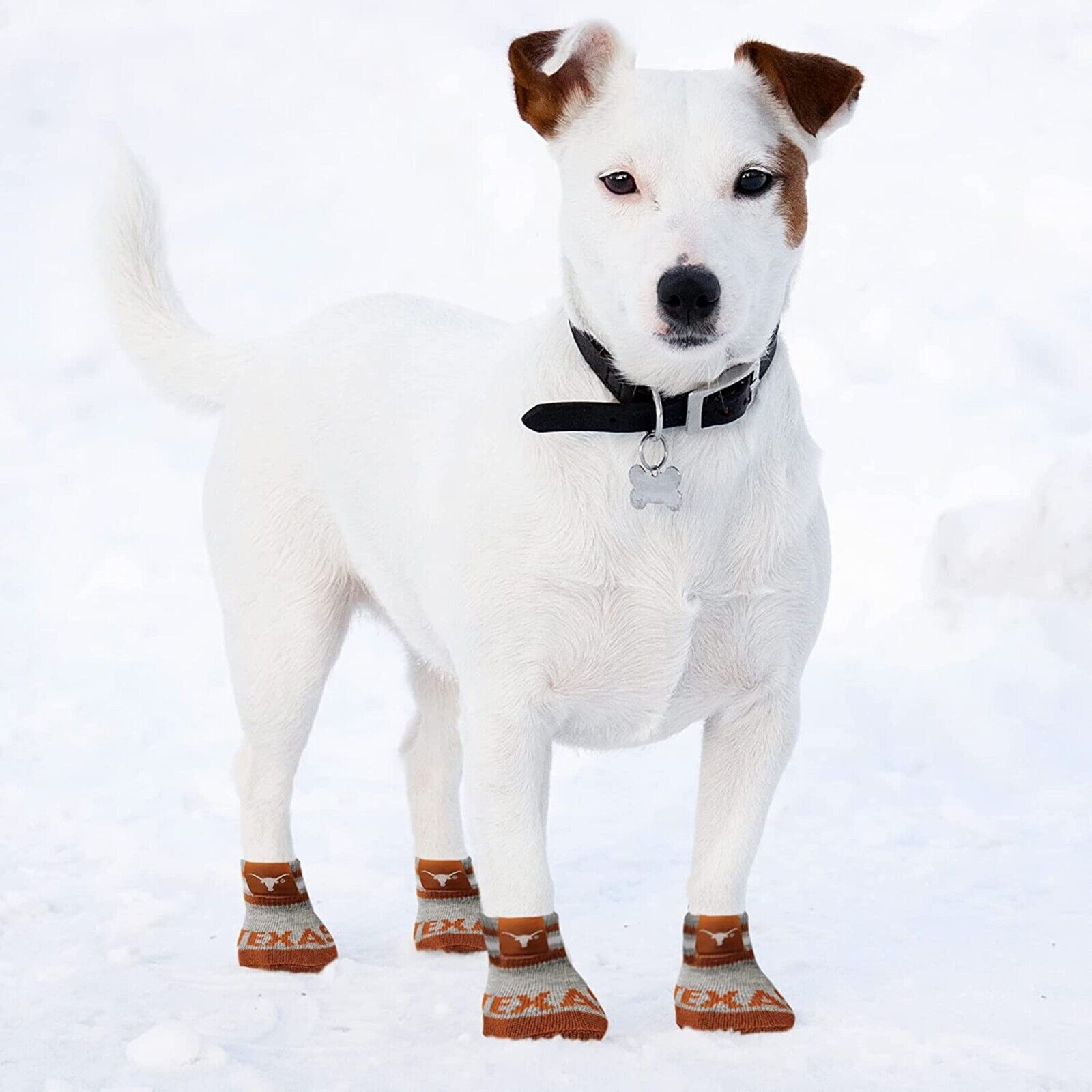 NCAA Anti Slip Dog Socks with Elastic Ribbed Top Indoor/Outdoor Paw Protection