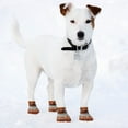 thumbnail image 2 of NCAA Anti Slip Dog Socks with Elastic Ribbed Top Indoor/Outdoor Paw Protection, 2 of 7