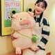 thumbnail image 5 of 2026 Cabbage Pig Pillow Soft Girl Heart Doll Valentine's Day Gift Doll Plush Toy, 5 of 5