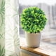 thumbnail image 5 of Bola de hierba artificial decorativa | Esfera floral artificial verde realista | Planta artificial de plástico PE resistente a los rayos UV e impermeable | Decoración para exteriores, jardín,, 5 of 5