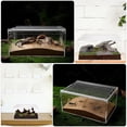 thumbnail image 4 of Raindrops Transparent Acrylic Reptile Cage Household Snake Keeper Multi Function Breeding Box, 4 of 8