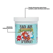 Bad Air Sponge Odor Absorber, Home & Pet Odor Eliminator, Bad Smell Eliminator for Indoor Air, 14 oz