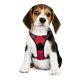 thumbnail image 2 of Arnes Para Perros De Raza Chica. Pechera Talla Extra Chica, 2 of 8