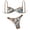 Khaki, variant on Swimwear Women'S Thong Bikini Sets High Cut Sexy Cute Bathing Suit Swimsuit Black M