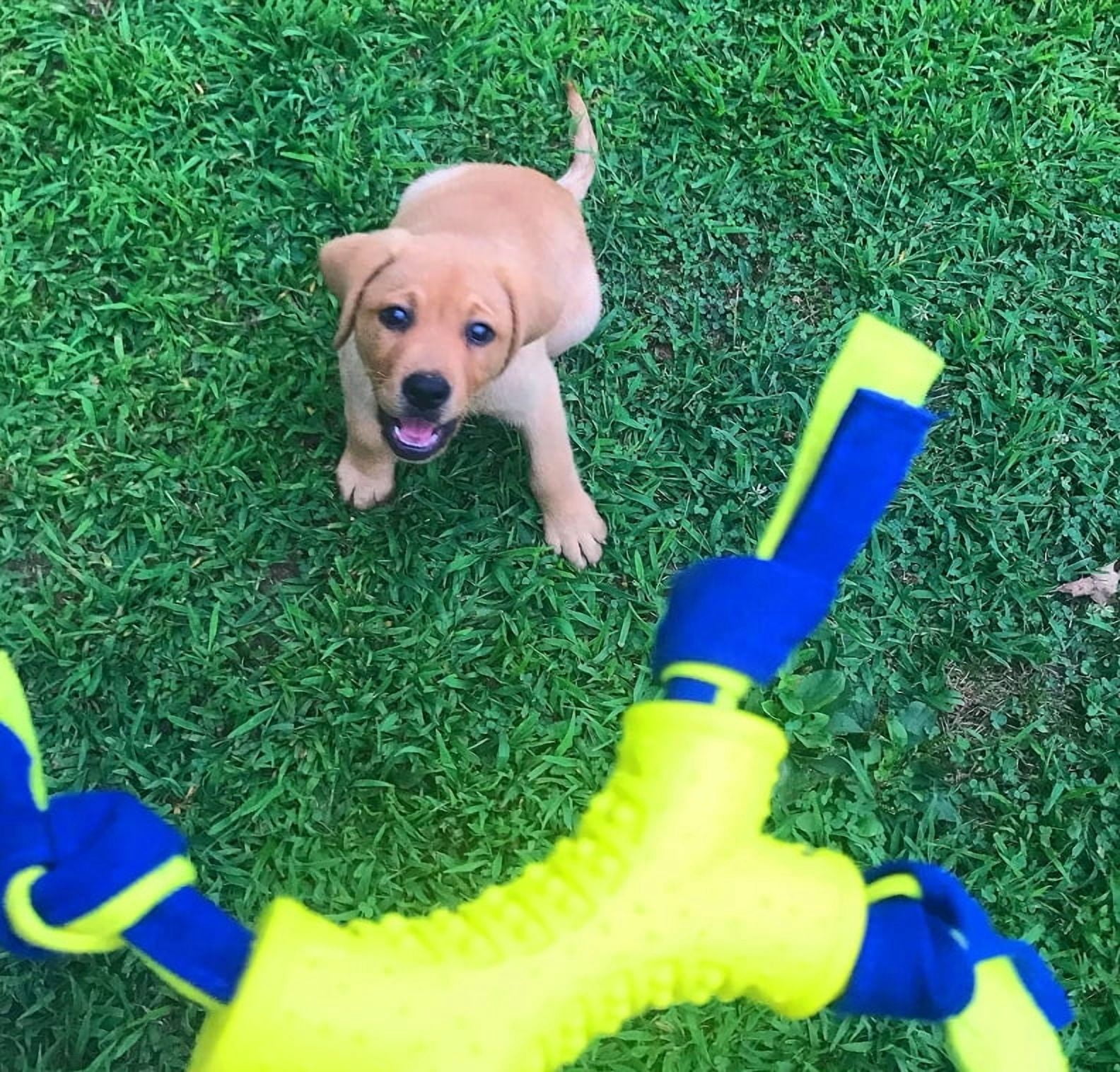 Nylabone Power Play Shake-a-Toss Dog Toy Dog Toy Small [New Dog Supplies, Dog Fetch Toys, Nylabone, Dog Supplies] 1 count