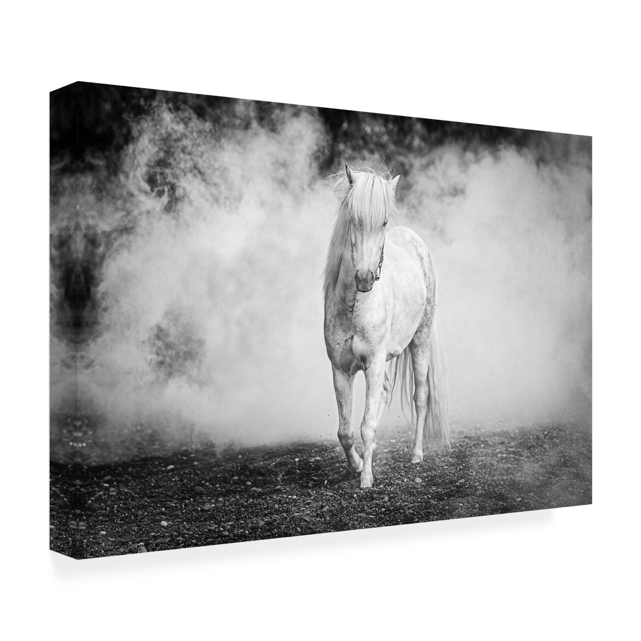 Canvas Wall Art - Jeffrey C. Sink 'Icelandic Pony' Wall Art for Living Room, Bedroom, or Office Décor by Trademark Fine Art - 32 x 22 Inches