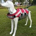 thumbnail image 3 of Dog Life Jacket with Reflective Stripes, Adjustable High Visibility Dog Life Vest Ripstop Dog Lifesaver Pet Life Preserver with High Flotation Swimsuit for Small Dogs pink, 3 of 9