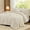Cream White, variant on Full Size Comforter Sets Emerald Green, 7 Pieces Soft Bed in a Bag Full, All Season Lightweight Bed Sets with Comforter, Flat Sheet, Fitted Sheet, Pillowcases & Shams
