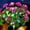 Purple, variant on Memorial Garden Bloom Lights - Solar Powered Outdoor Flower Stakes - Auto On/Off Landscape Lighting, Waterproof LED Floral Decor for Cemetery Tribute, Grave, Yard, Patio, Path (Yellow)