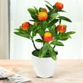 thumbnail image 5 of Steadline Lifelike Artificial Money Tree with Seven Leaf Clusters - Feng Shui Home Decor Piece for Living Rooms and Offices Featuring Realistic Plastic Foliage, 5 of 6