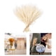 thumbnail image 4 of 200 piezas de tallos de secos naturales reales flores secadas al oído DIY decoración para hogar, 4 of 9