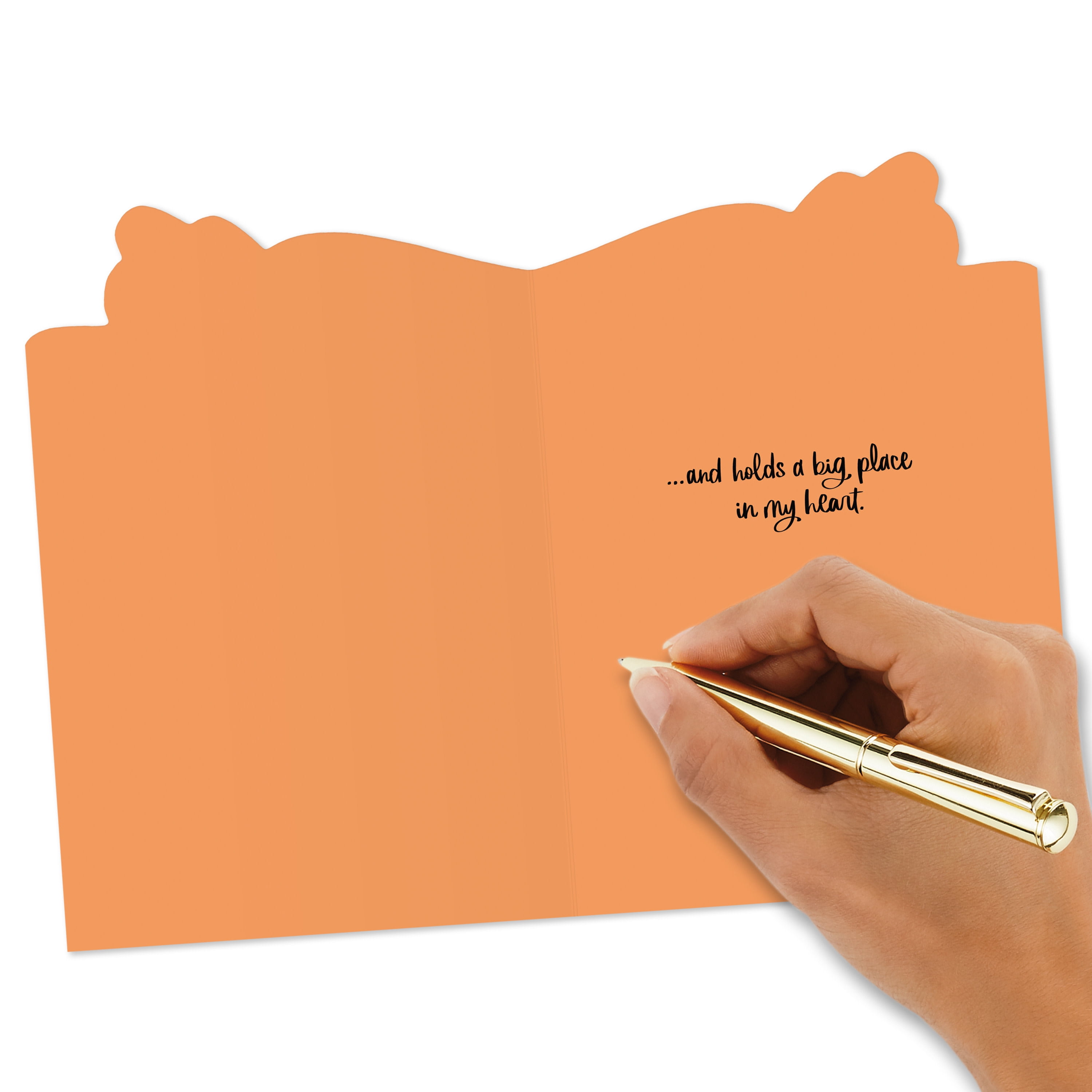 Hallmark Thanksgiving Card for Friend (Big Place in My Heart), 1 Count