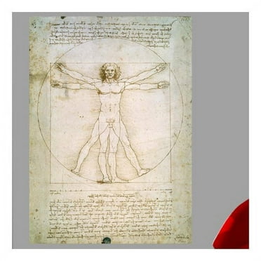 Wallhogs Da Vinci The Proportions of The Human Figure (1492) Wall Decal