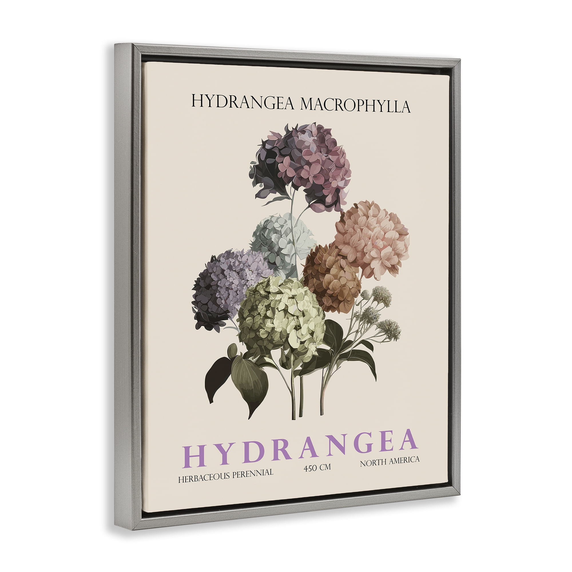 Stupell Industries Nature Hydrangea Bundle Gray Framed Floater Canvas Wall Art, design by Christopher Giampietro