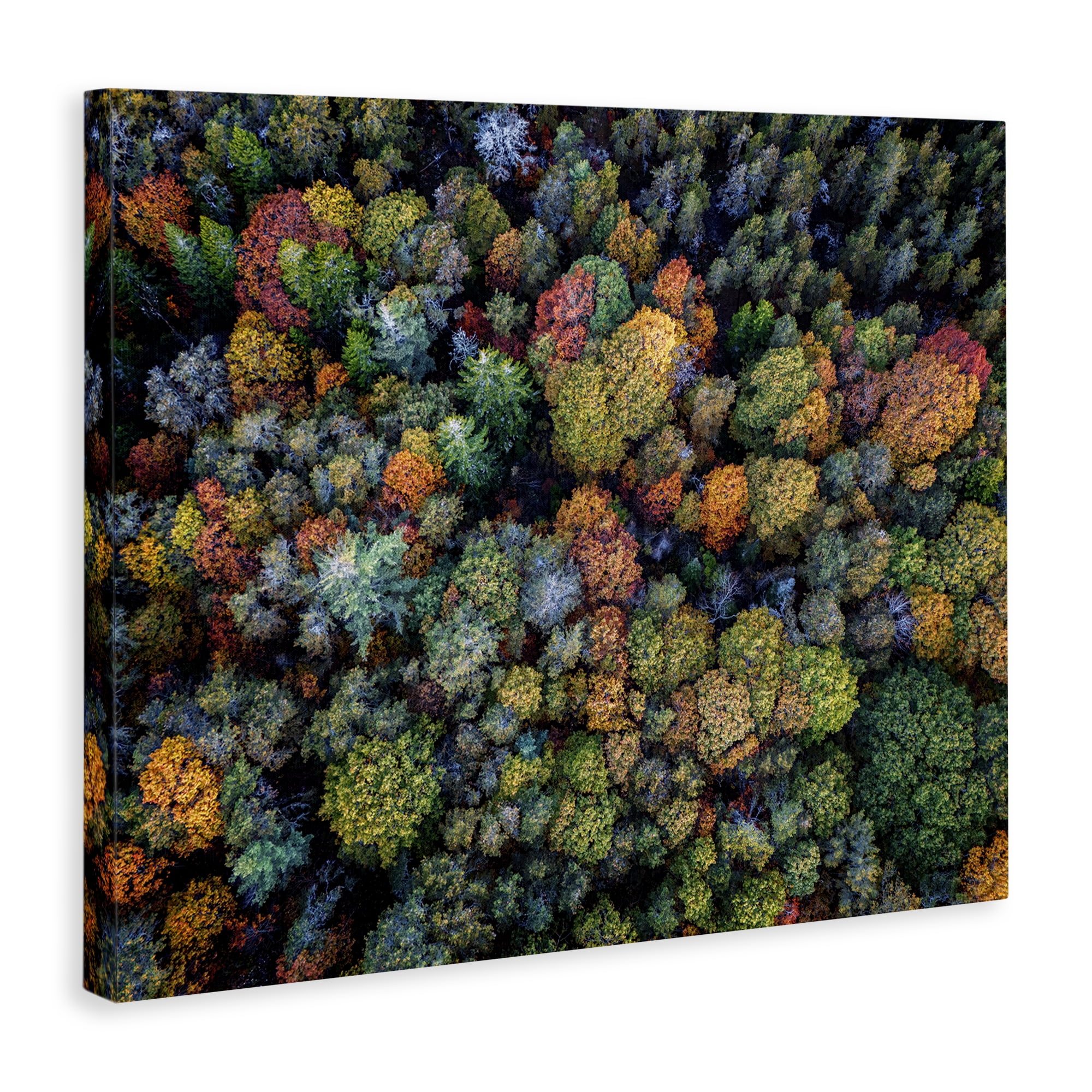 Stupell Industries Aerial View Autumnal Foliage Landscape & Nature Photography Wrapped Canvas Art Print Wall Art, 30 x 24