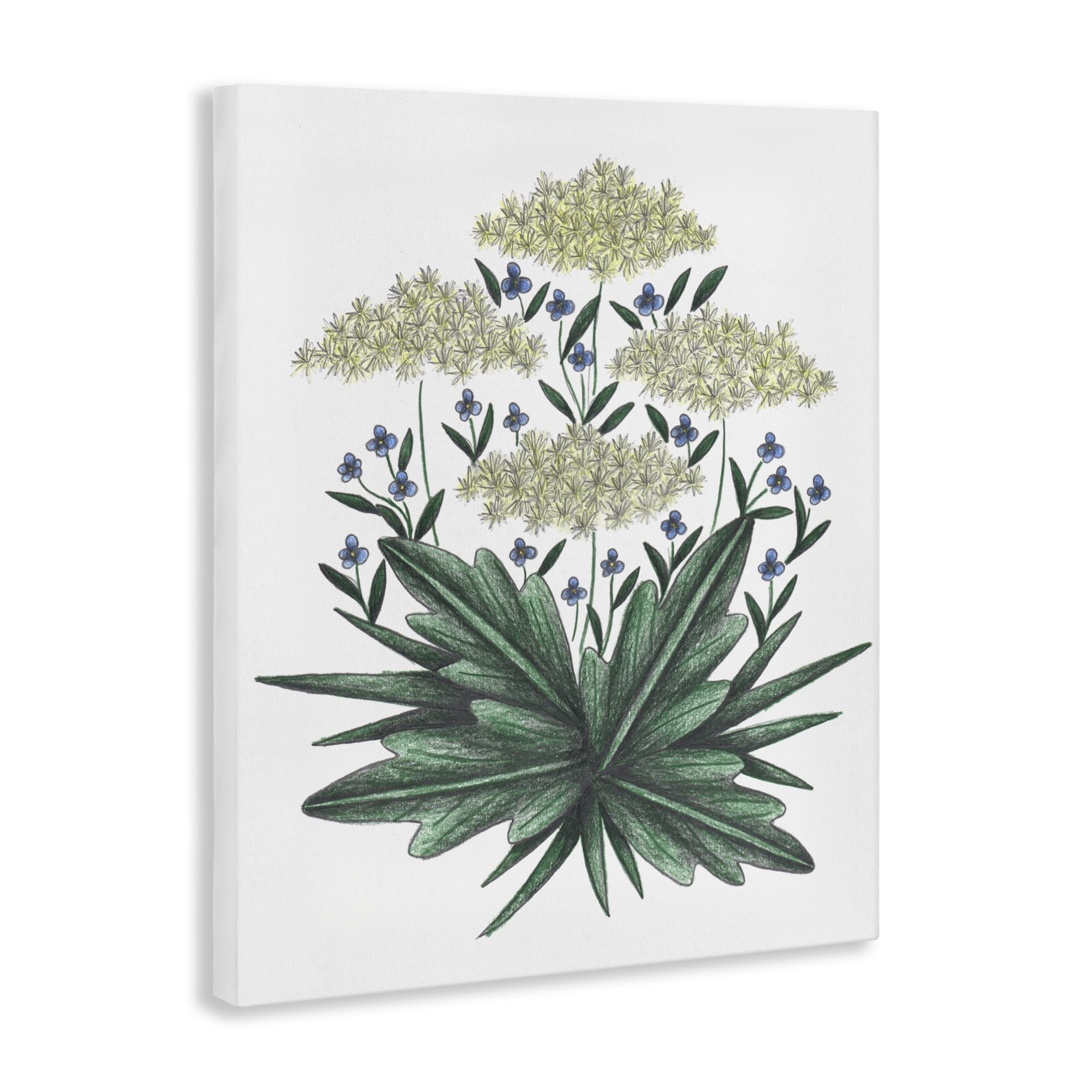 New Roots Vintage Sketch Canvas Wall Art, design by Cecilia Battaini