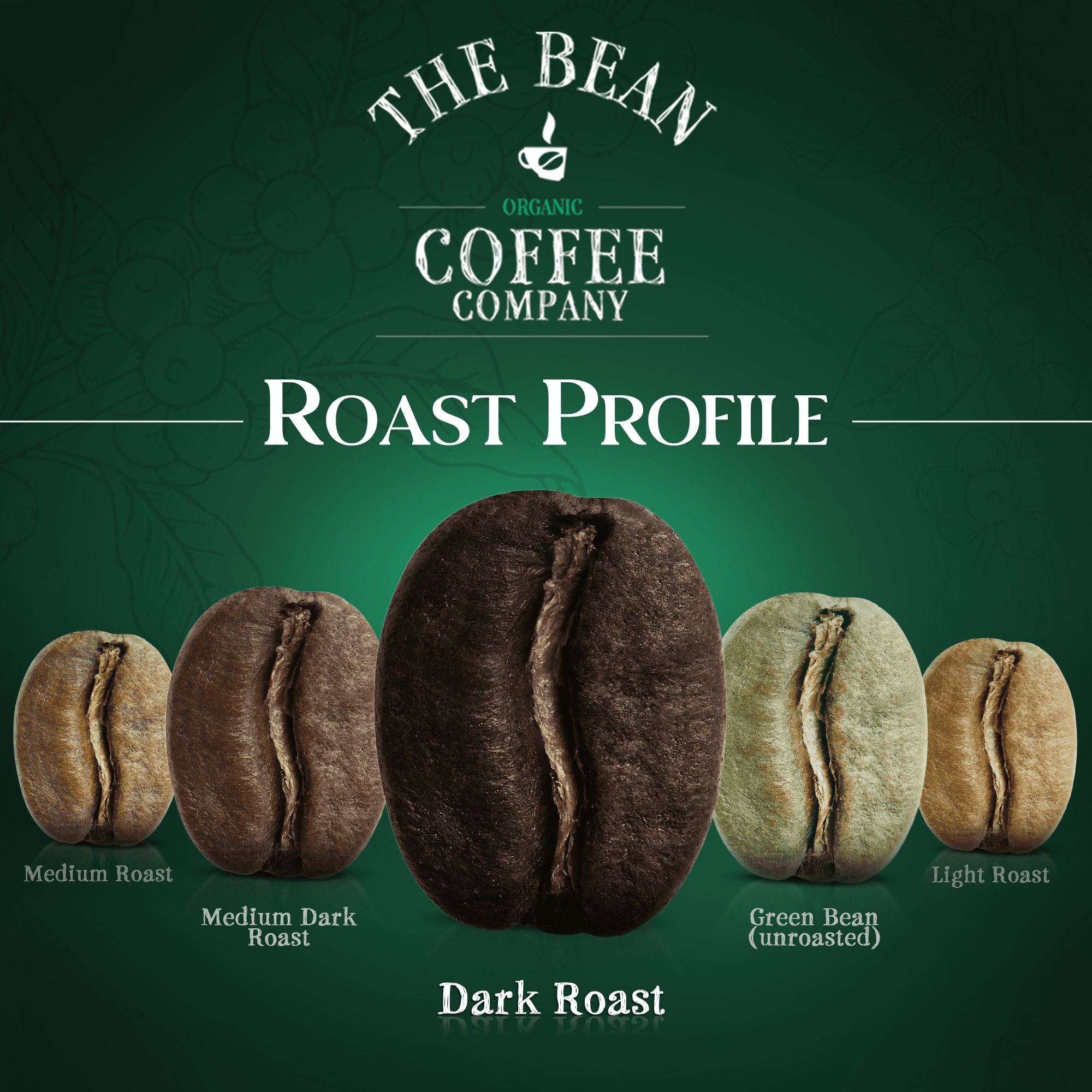 The Bean Organic Coffee Company Premium Espresso, Dark Roast, Ground Coffee, 16-Ounce Bag