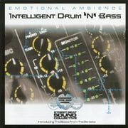 Intelligent Drum N Bass: Emotional Ambience