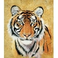 thumbnail image 2 of Unknown 15x17 Gold Ornate Wood Framed with Double Matting Museum Art Print Titled - Tiger, 2 of 4
