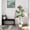 White Basin, variant on 120cm Artificial Plumeria Flower Tree with Silk Leaves & Realistic Blooms for Living Room, Bedroom & Office Decor