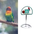 thumbnail image 4 of opvise 1 Set Bird Toy Round Base with Bell Ball Pet Bird Parrot Basketball Game Toy S, 4 of 7