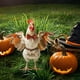 thumbnail image 5 of Fiudx Estaca de Halloween para Jardín, Arte de Hierro Metálico, Diseño Duradero, Temática de Calabaza, Murciélago y Bruja Espeluznante, Decoración de Jardín Al Aire Libre, Resistente a La Intemperie,, 5 of 5