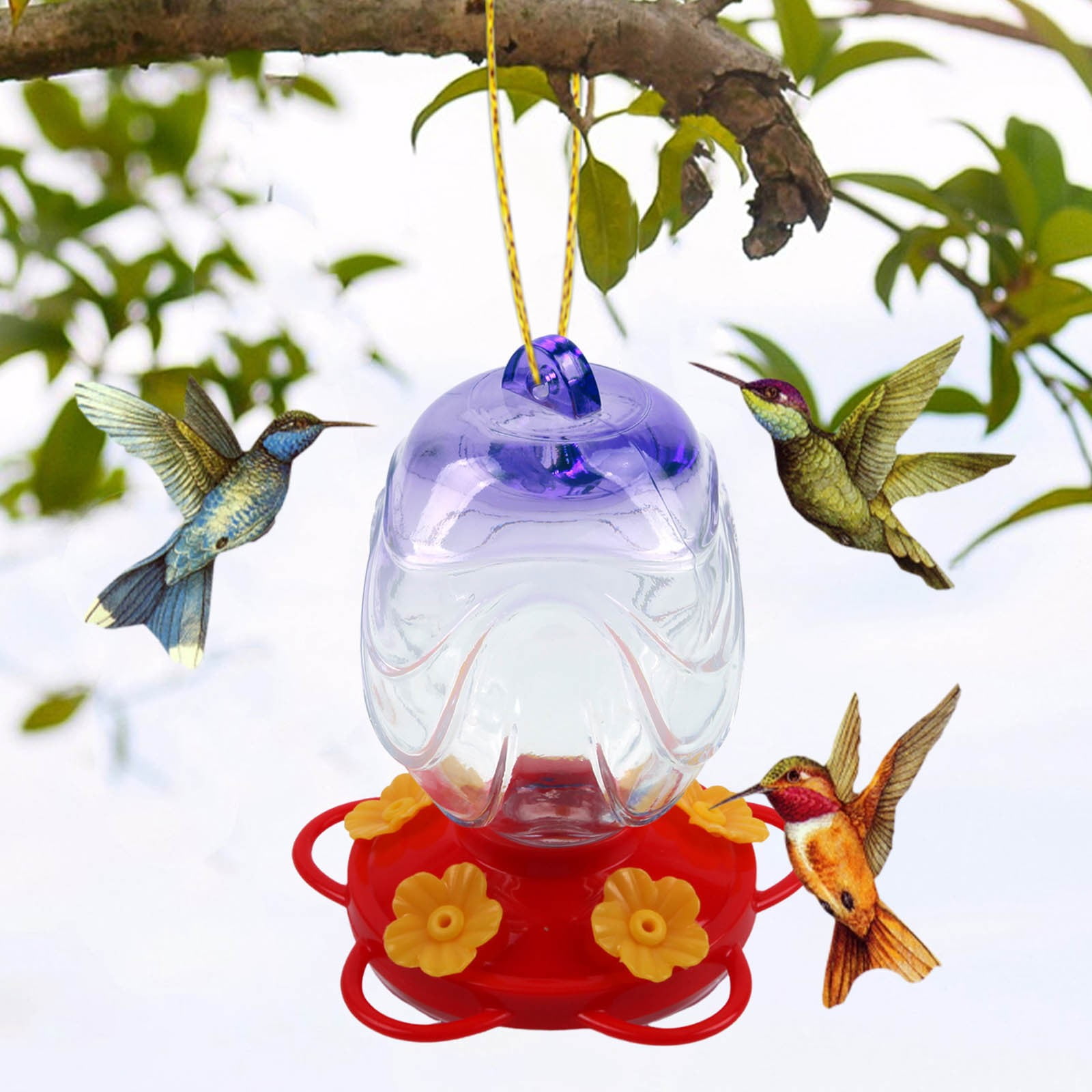 Wild Bird Feeders,Bird Feeders for Outdoors,Glass Feeder Stained Glass Hummingbird Feeder Feeder,Window Bird Feeders for Outdoors,Bird House Pole for Garden Yard Decoration
