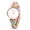 Style 2, variant on Women's Elastic Braided Watches: Stretchy Strap Multicolored Bracelet Quartz Wrist Watches for Women