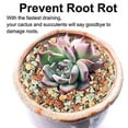 2.5lb Bonsai Succulent and Cactus Soil Gritty Mix Rocks Faster Draining Optim...