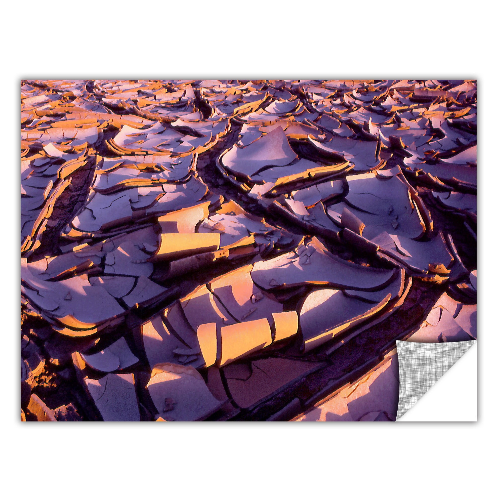Dean Uhlinger Barro Magnifico, Art Appeelz Removable Wall Art Graphic