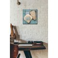thumbnail image 6 of Epic Art 'Seashell Sketch I' by Tim O'Toole, Acrylic Glass Wall Art, 12"x12", 6 of 7