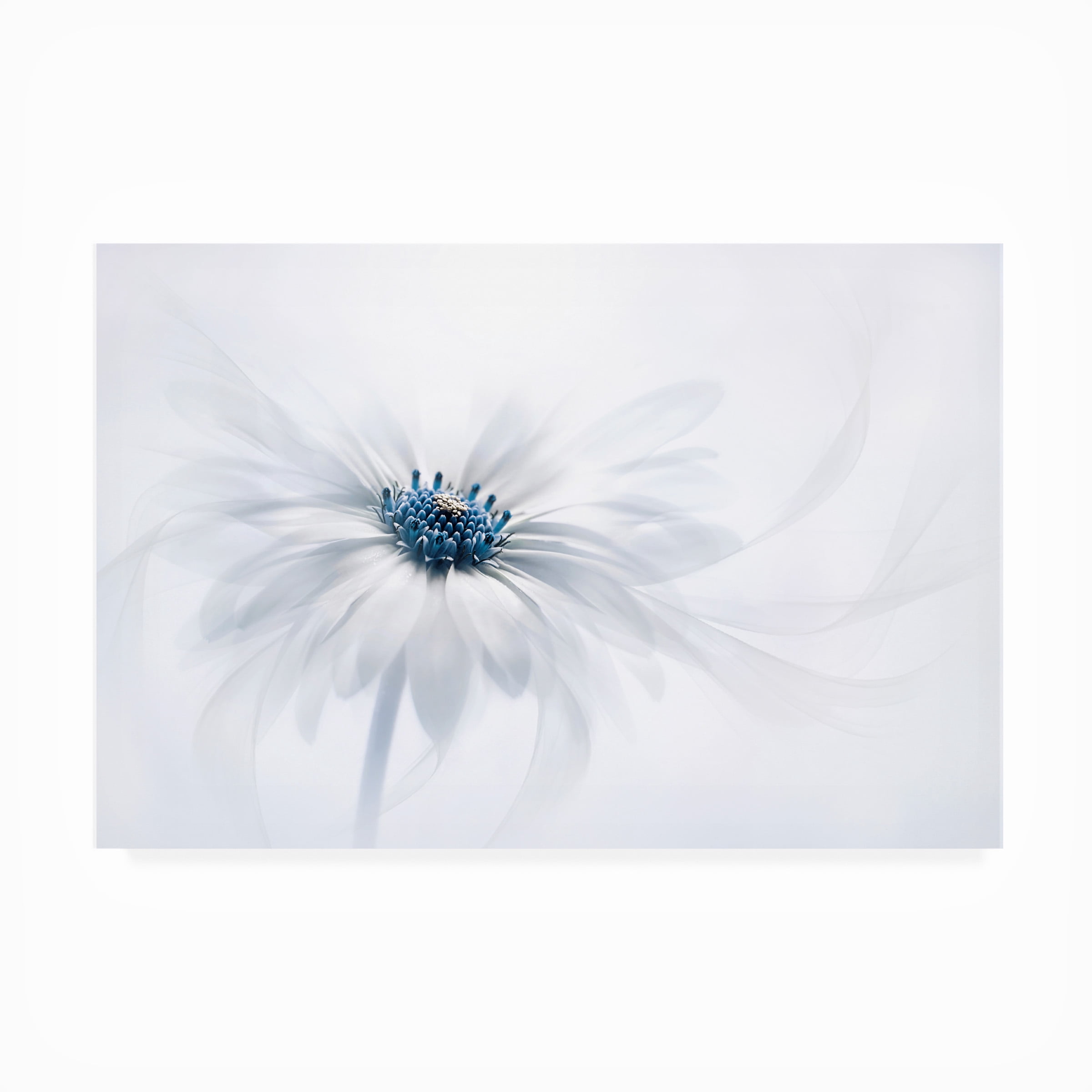 Jacky Parker 'Serenity' Outdoor All-Weather Wall Decor