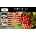 Goodwell Premium Berberine HCL Extract 1200mg, Healthy Cholesterol, Anti-inflammatory