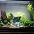 thumbnail image 2 of JUNTEX Aquarium Decorations Resin Treasure Chest Small Fortune Box Fish Tank Ornament, 2 of 10