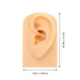 thumbnail image 2 of Weiweiguan Silicone Simulated Ear Model Ear Piercing Model Practice Teaching Prop, 2 of 6