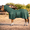 Bottle Green, variant on Resistance Horse Fly Sheet with Neck Cover and Belly Wrap, Mesh, UV Protection, Silver, Sizes 68 in–82 in