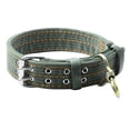thumbnail image 2 of Collar de perro verde militar, collar de mascota ajustable de doble fila para perros medianos y grandes (XL) Likrtyny  Para estrenar, 2 of 9