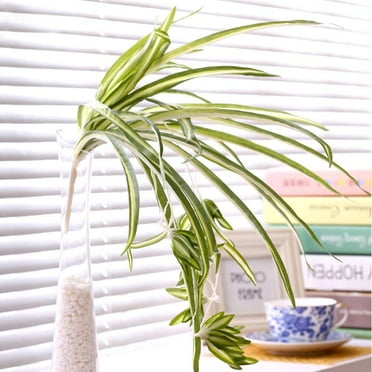Xelparuc 2Pack Artificial Flowers Spider Plants Fake Silk Plant Faux Greenery Artificial Plants for Home Wall Indoor Outdside(Not Include Hanging Basket)