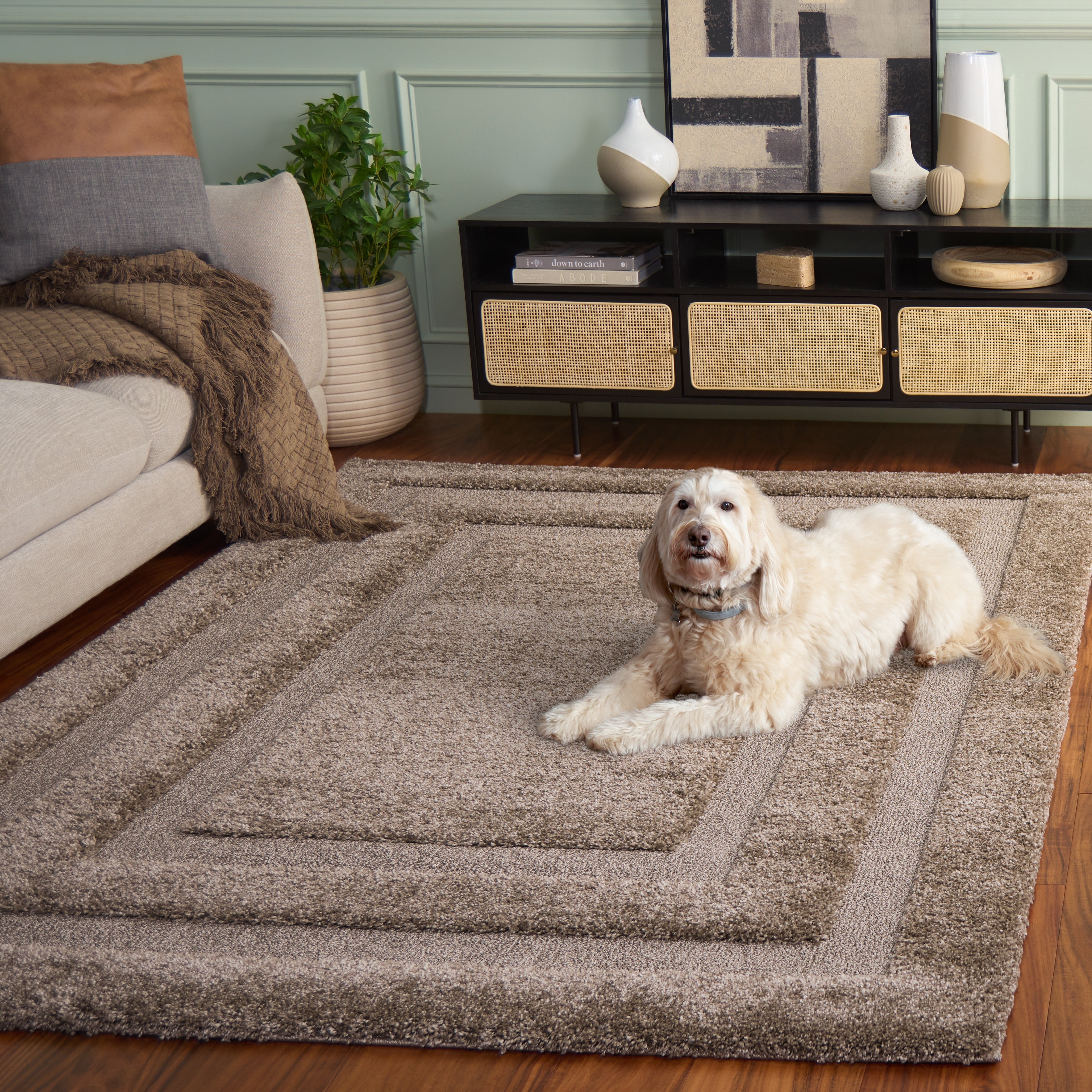 SAFAVIEH Florida Mason Bordered Shag Area Rug, Beige, 2' x 3'