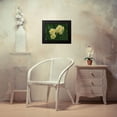 thumbnail image 4 of Bonin, Suzanne 18x15 Black Modern Framed Museum Art Print Titled - Double Daffodils, 4 of 5
