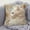 Cat (Embroidery imitation), variant on Qqyida Sofa Pillow Covers 18x18 Inch, Embroidered Fluffy Decorative Pillow Case with Soft Velvet Feel, White Throw Cushion Cover for Bedroom Living Room Home Decor