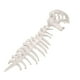 thumbnail image 4 of Disfraz de esqueleto de dinosaurio para niños, accesorio de cosplay, divertido casco 3D para cumpleaños Blanco, 4 of 9