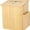 Natural Wood, variant on Wood Charity Donation collection Box Office suggestion Ballot Box With wide slot for envelopes and suggestion comment forms, Pocket and Locking Hinged Lid & Pen for Table Or CountertopRustic-White