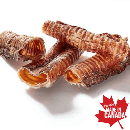 Dried beef best sale trachea for dogs