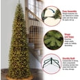 thumbnail image 4 of Árbol de Navidad, abeto Kingswood de National Tree Company, 10 pies, 4 of 4